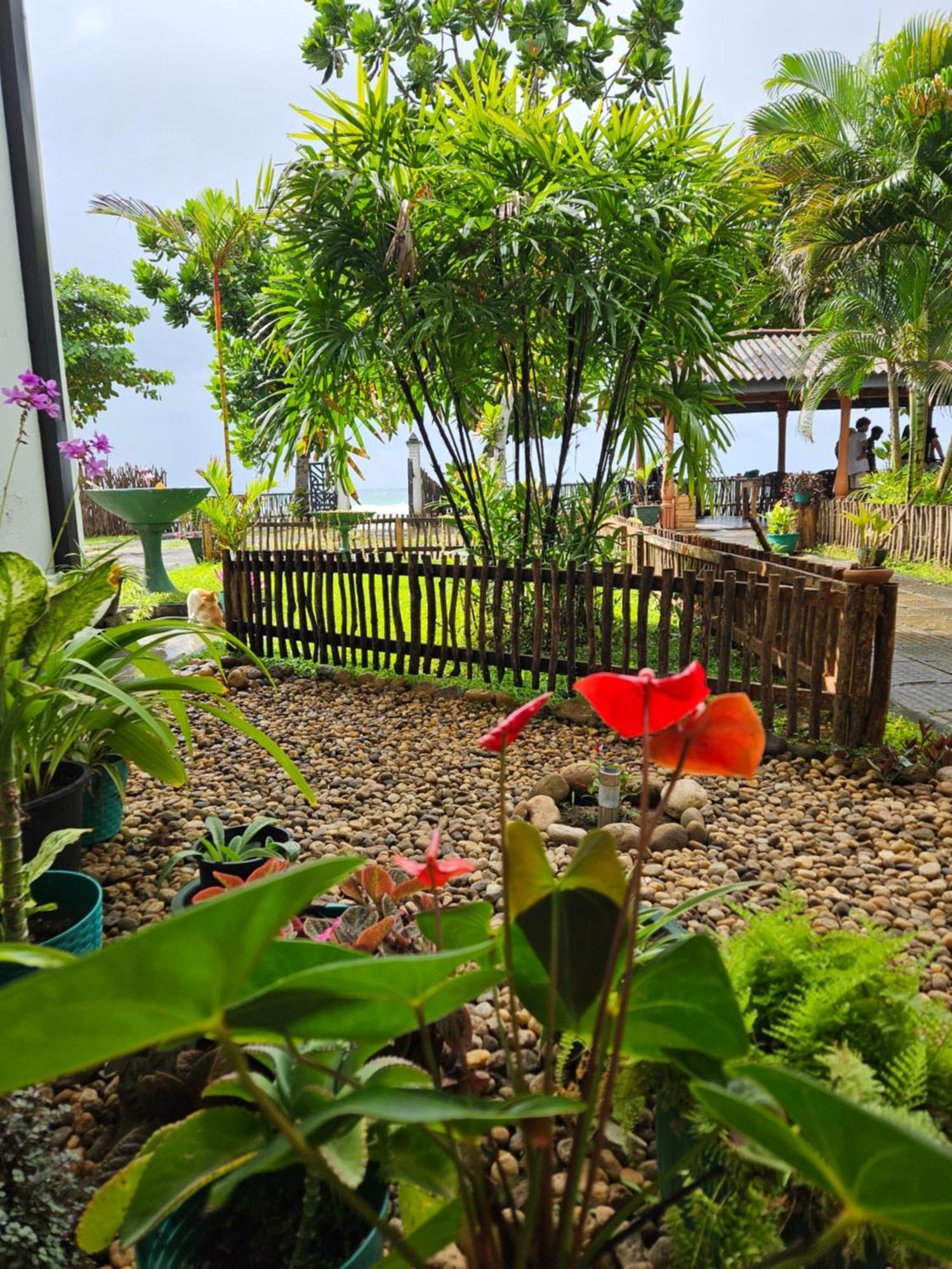 דיקוולה Balance Beach Resort מראה חיצוני תמונה