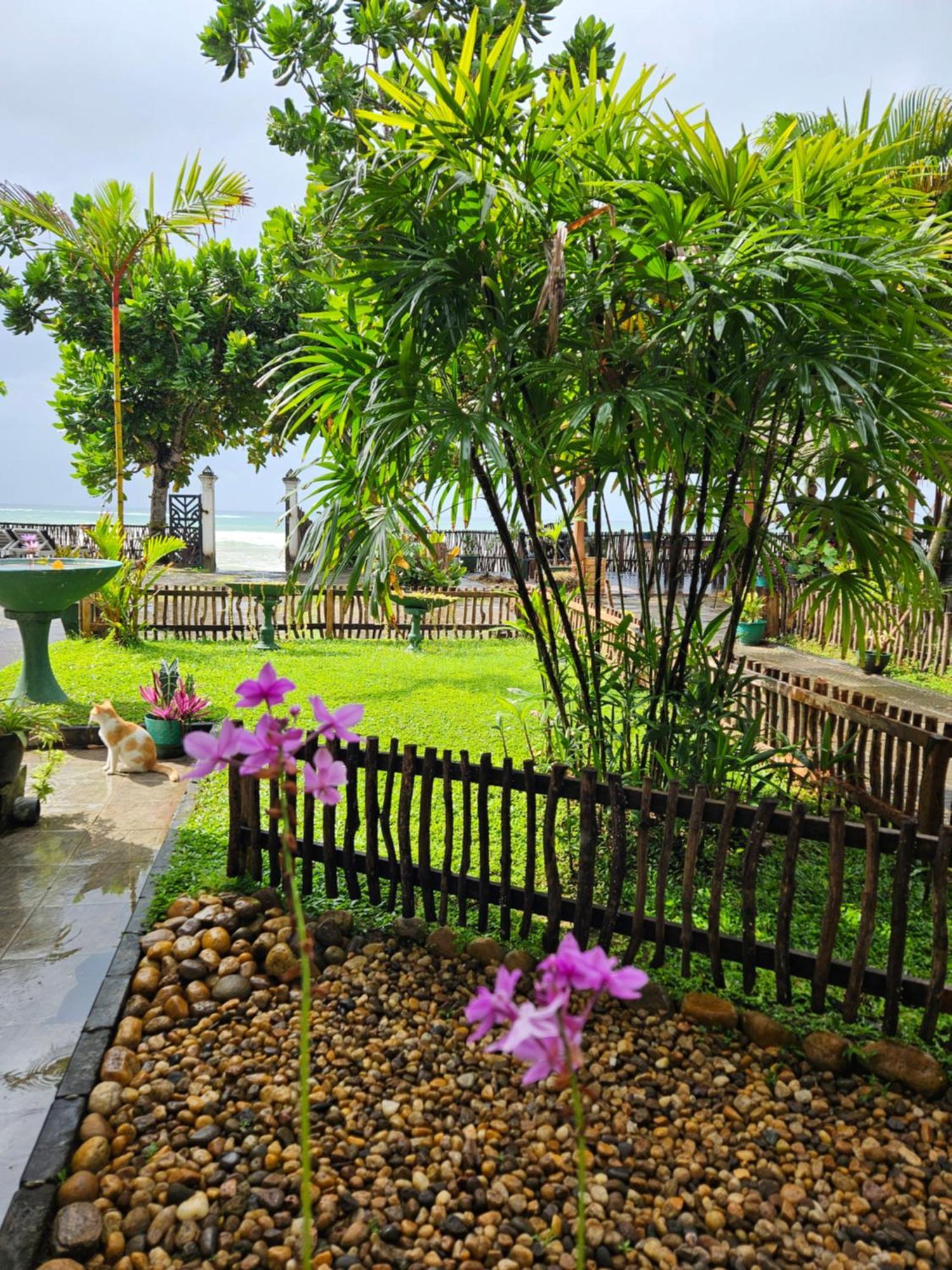 דיקוולה Balance Beach Resort מראה חיצוני תמונה